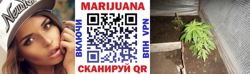 Конопля White Widow  Томари 